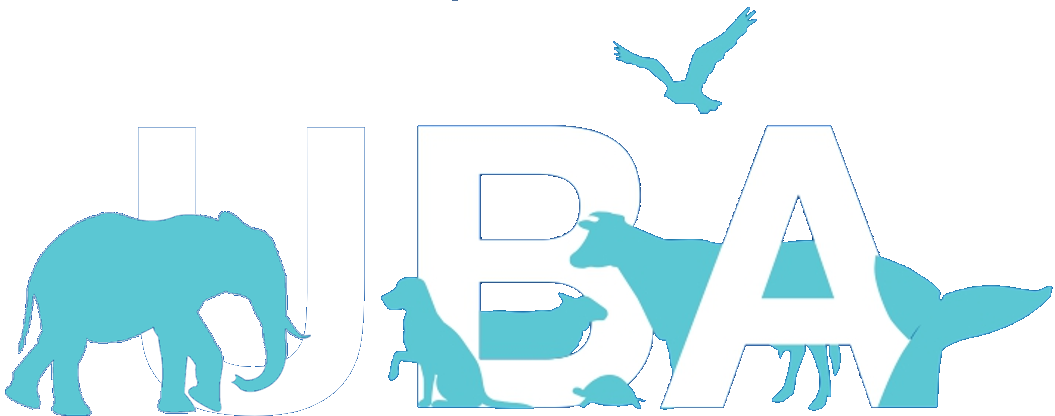 UBA