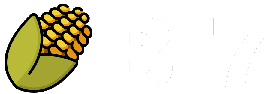 gbmaiz